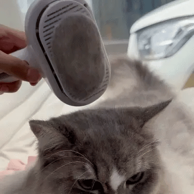 Self-Clean Grooming Brush
