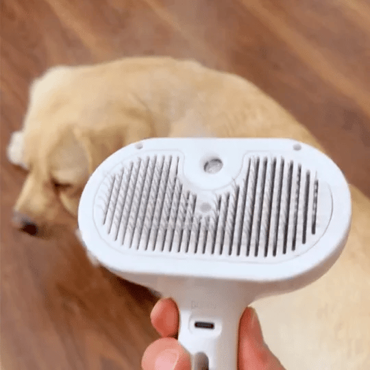 Self-Clean Grooming Brush