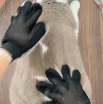 Pet Grooming Glove