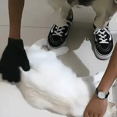 Pet Grooming Glove