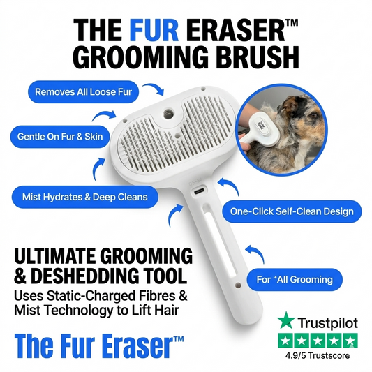 Self-Clean Grooming Brush
